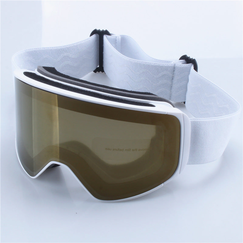 Ski Goggles