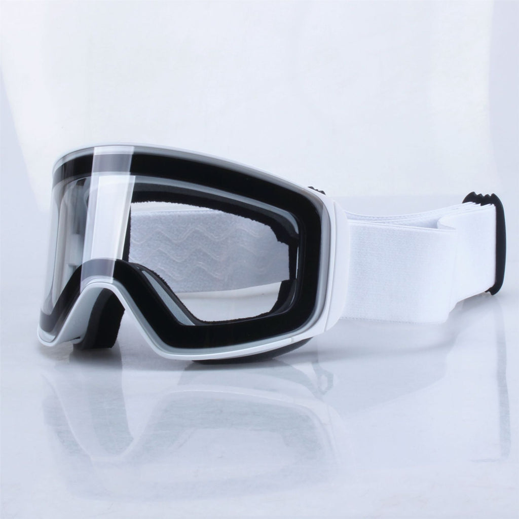 Ski Goggles