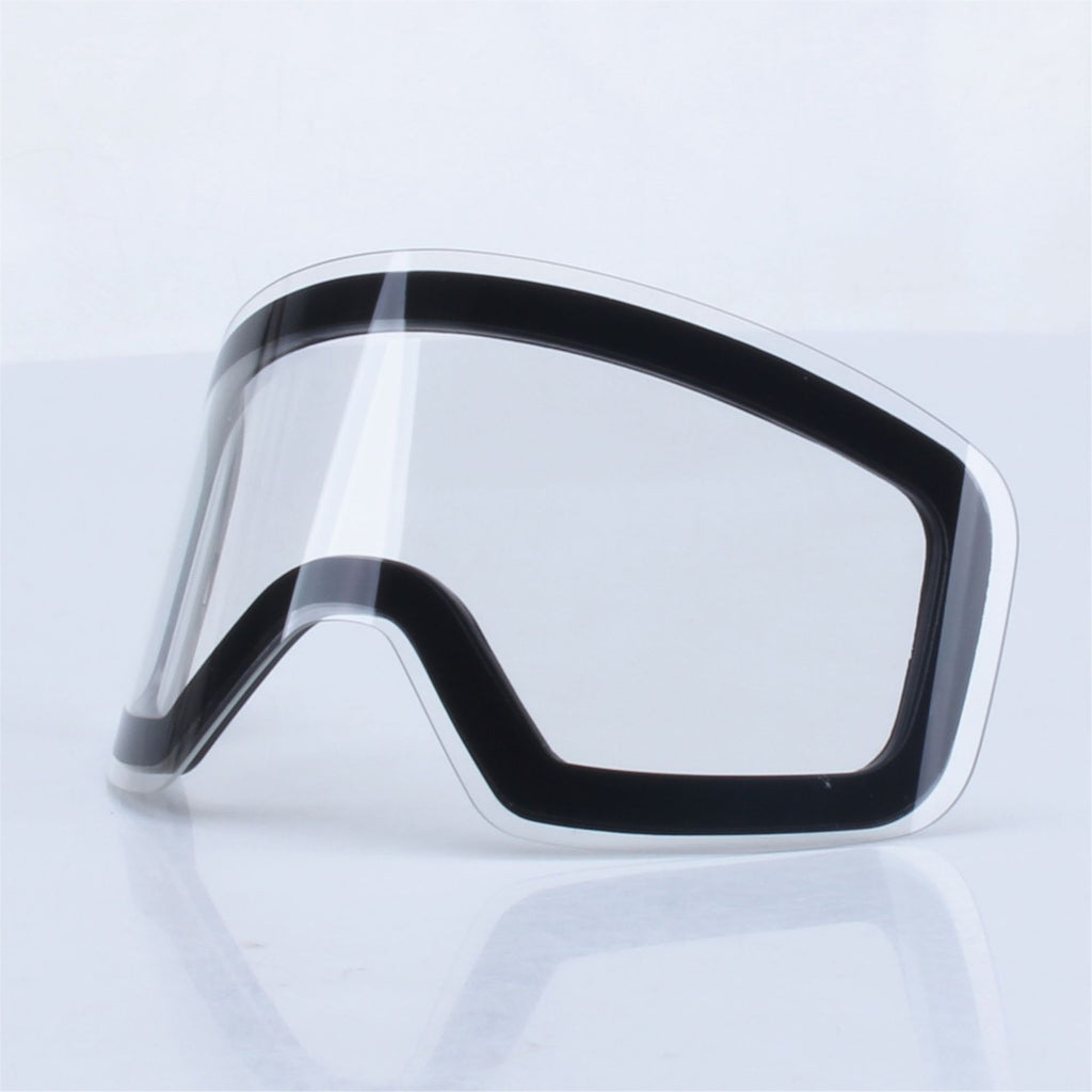 Ski Goggles