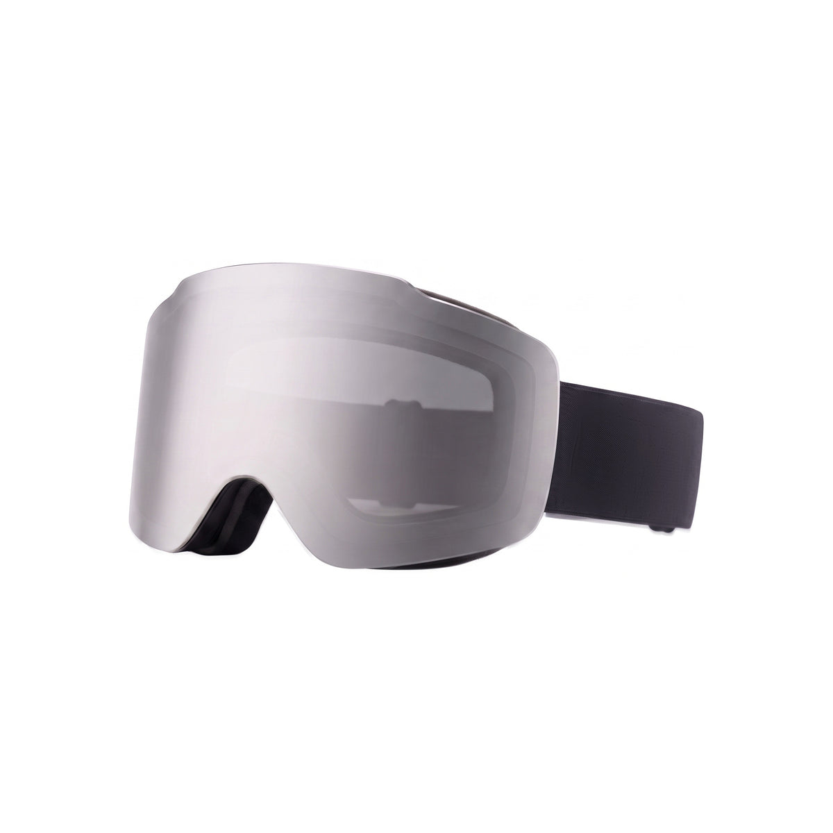 FullView Ski & Snowboard Goggles